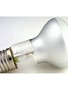 Industriel 6.3 Volt Industrial Anti-Vibration Light