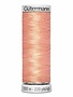 Gütermann Gütermann Dekor Rayon thread 5040 200m