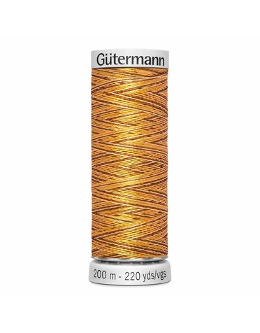 Gütermann Gütermann Variegated Dekor Rayon thread 9922 200m