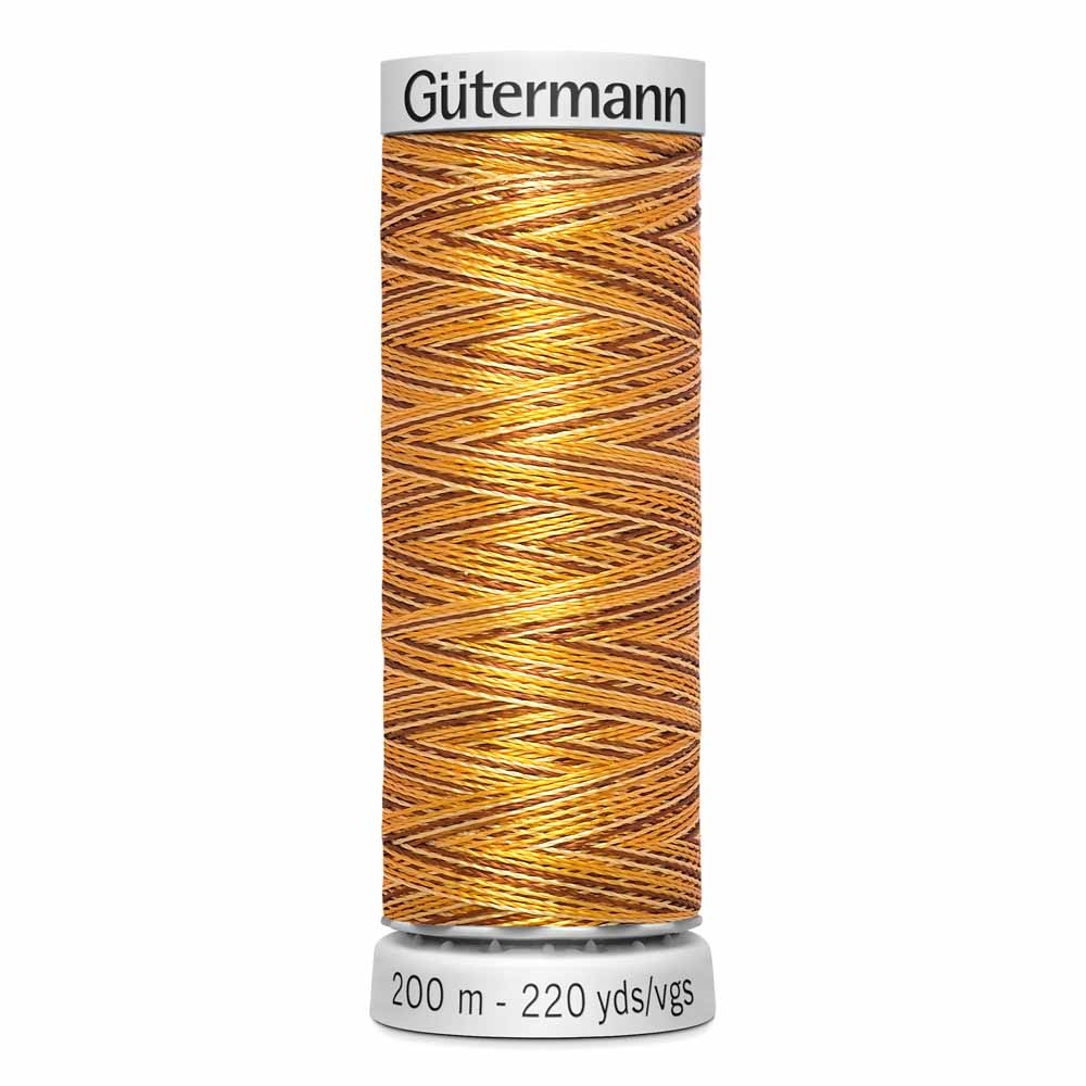 Gütermann Gütermann Variegated Dekor Rayon thread 9922 200m