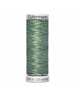 Gütermann Gütermann Variegated Dekor Rayon thread 9975 200m