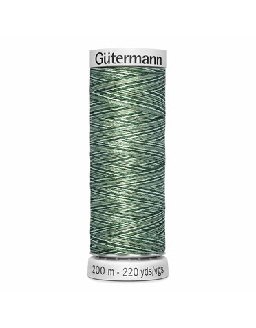 Gütermann Gütermann Variegated Dekor Rayon thread 9975 200m