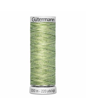 Gütermann Fil Gütermann Dekor Rayon multicolore 9991 200m