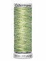 Gütermann Gütermann Variegated Dekor Rayon thread 9991 200m