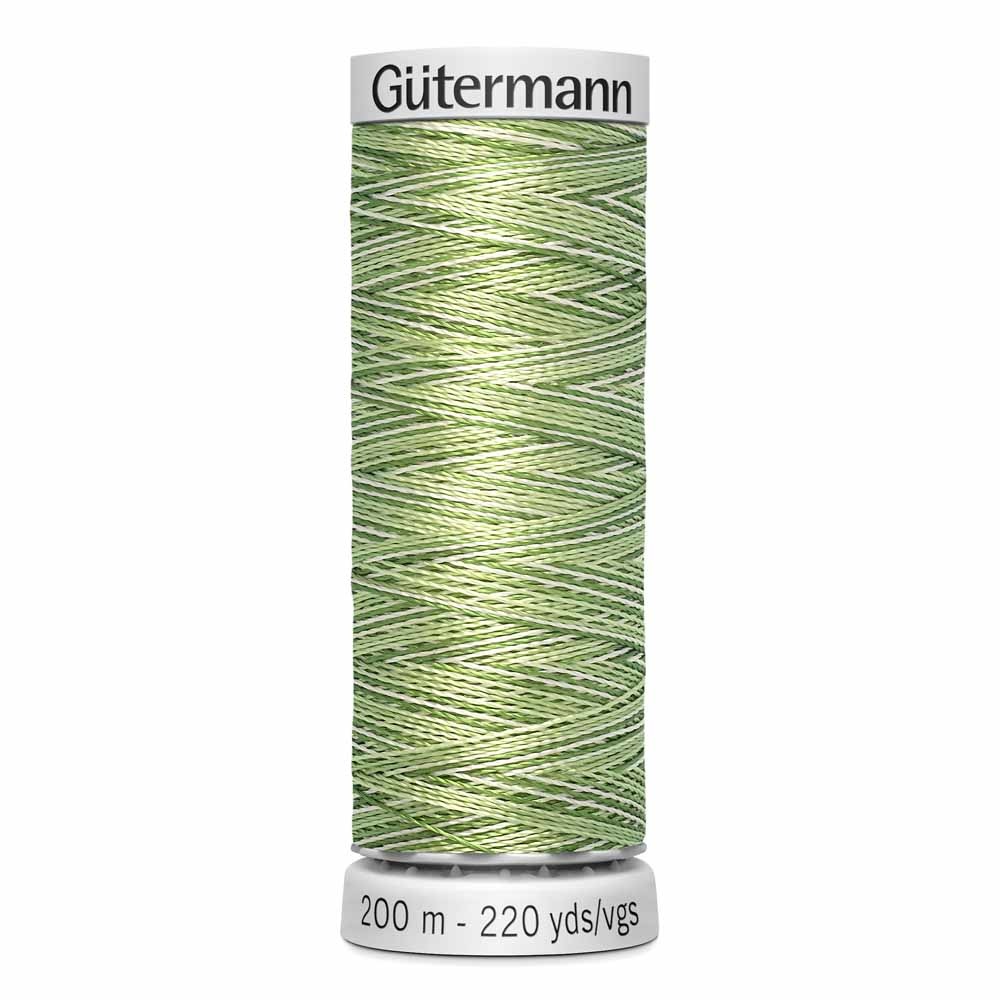 Gütermann Gütermann Variegated Dekor Rayon thread 9991 200m