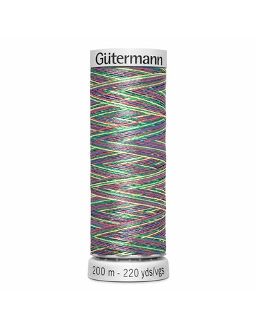 Gütermann Gütermann Variegated Dekor Rayon thread 9998 200m