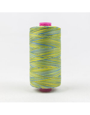 WonderFil Tutti Tutti cotton multicoloured 50wt thread 02 1000m