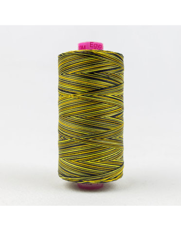 WonderFil Tutti Fil coton multicolore 50wt Tutti 04 1000m