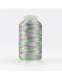 WonderFil Accent Accent multicoloured 12wt rayon thread 40 400m