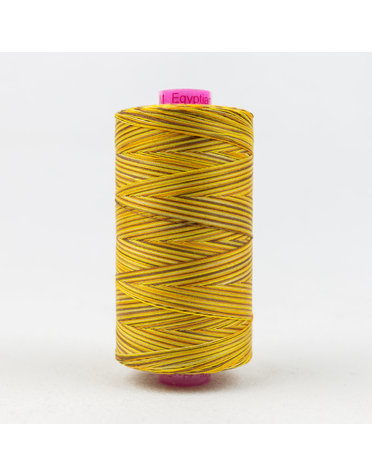 WonderFil Tutti Fil coton multicolore 50wt Tutti 06 1000m