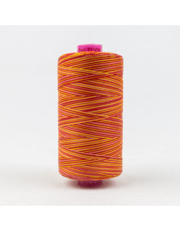 WonderFil Tutti Fil coton multicolore 50wt Tutti 09 1000m