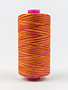 WonderFil Tutti Fil coton multicolore 50wt Tutti 09 1000m