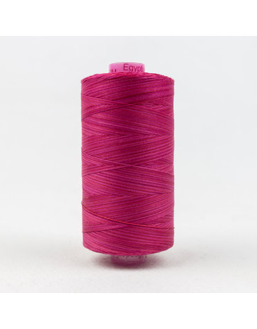 WonderFil Tutti Fil coton multicolore 50wt Tutti 10 1000m