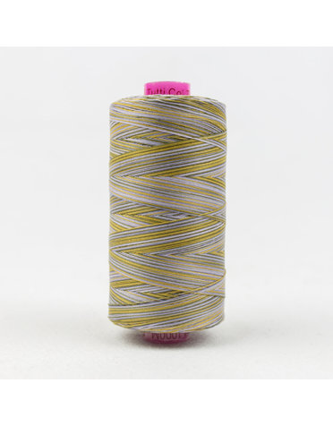 WonderFil Tutti Fil coton multicolore 50wt Tutti 14 1000m
