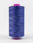 WonderFil Tutti Fil coton multicolore 50wt Tutti 20 1000m
