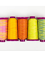 WonderFil Fruitti Fruitti complete thread collection (41 spools)