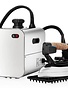 Reliable 4100IS 2.2L Professional Steam Iron Station with Eco Mode