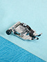 Baby Lock Baby lock stitch-in-the-ditch foot