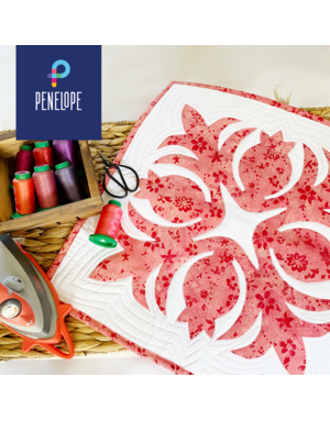 Techniques- Les Appliqués