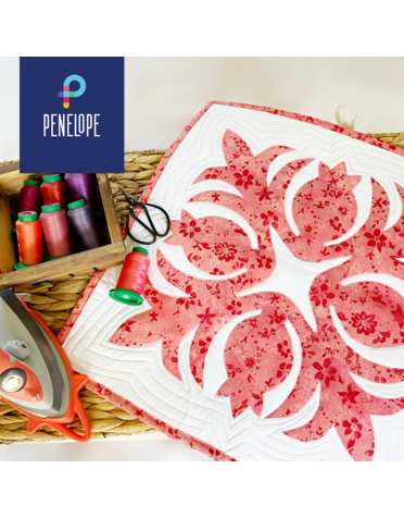 Techniques- Les Appliqués