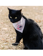 Kimberbell Pet kerchief blank, set of 2, gray & white