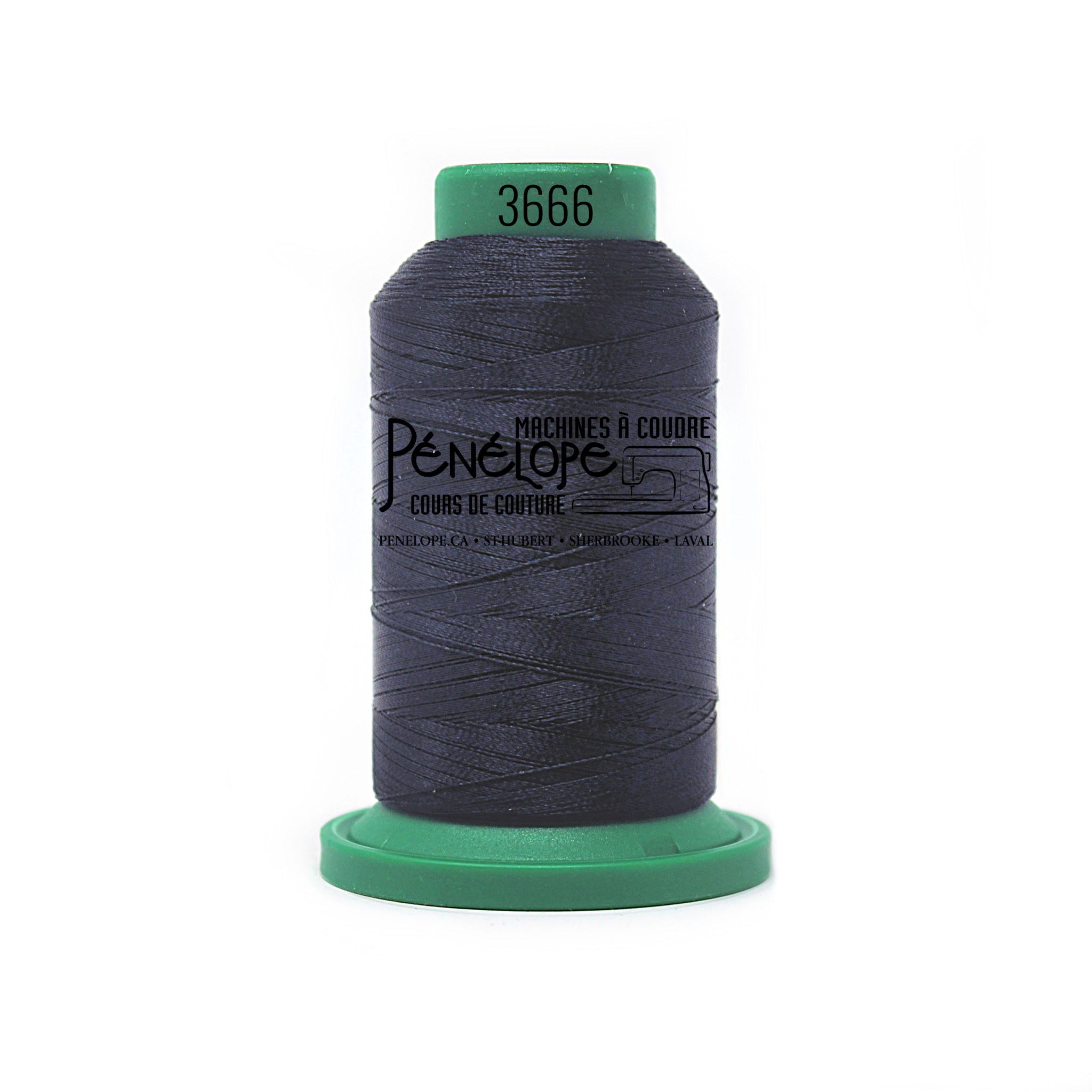 Isacord Isacord sewing and embroidery thread 3666