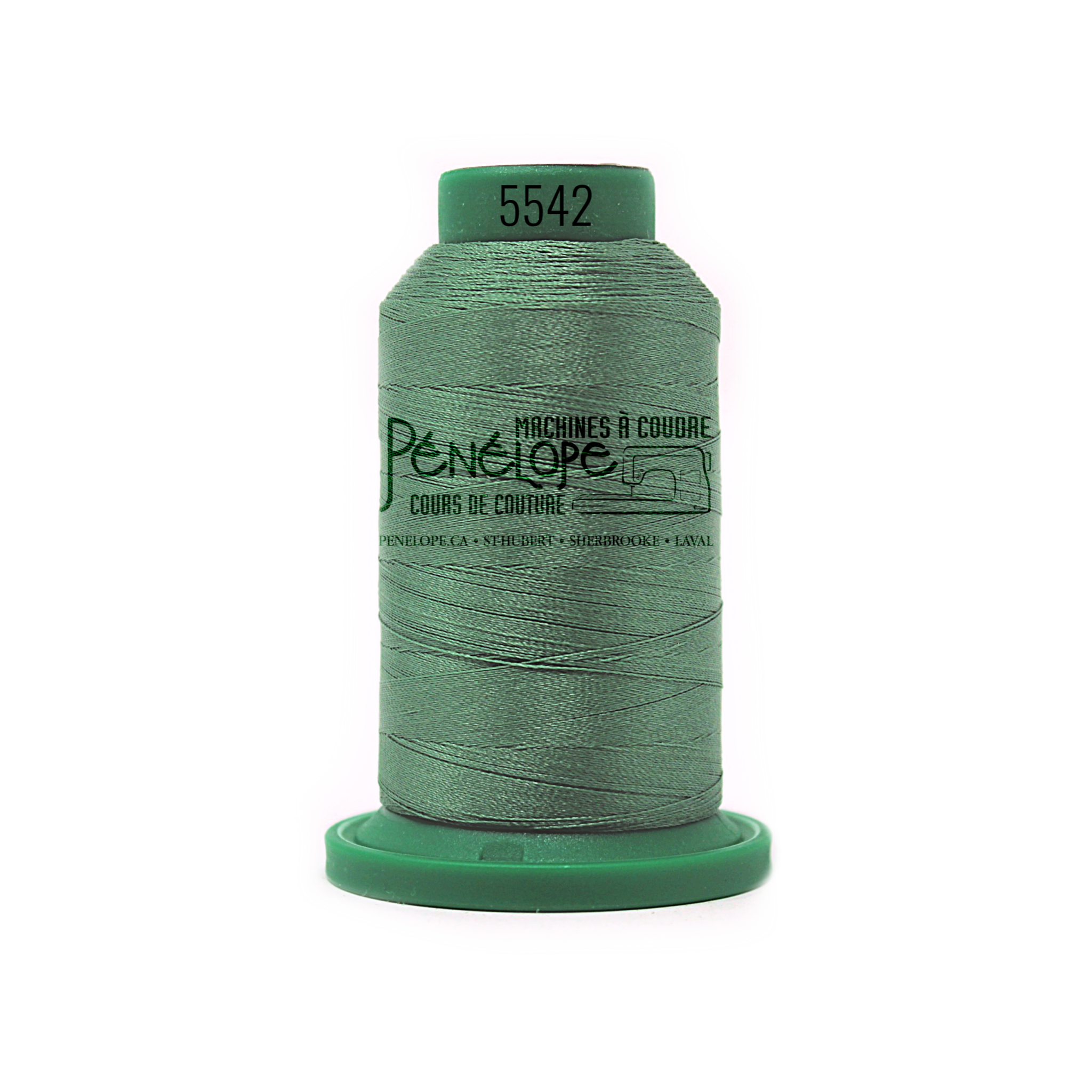 Isacord Isacord sewing and embroidery thread 5542