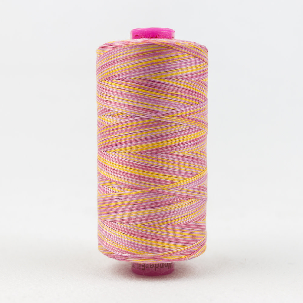 WonderFil Tutti Tutti cotton multicoloured 50wt thread 05 1000m