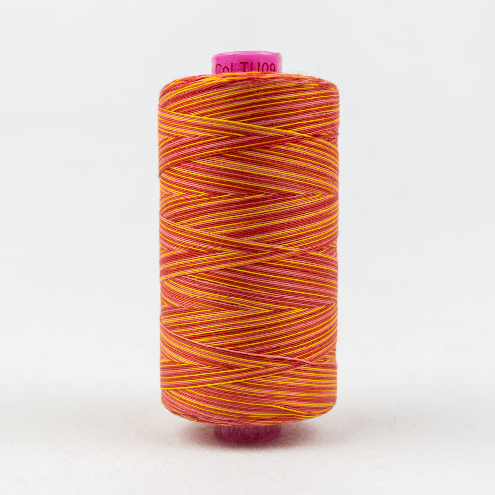 WonderFil Tutti Tutti cotton multicoloured 50wt thread 09 1000m