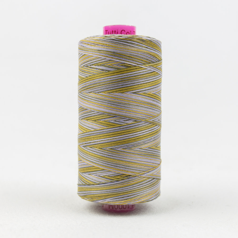WonderFil Tutti Fil coton multicolore 50wt Tutti 14 1000m