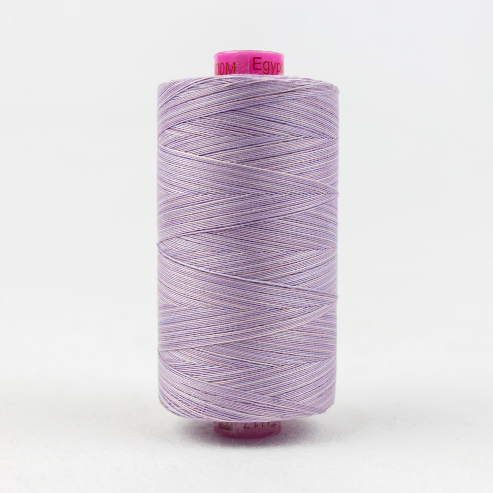 WonderFil Tutti Fil coton multicolore 50wt Tutti 17 1000m