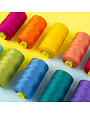 WonderFil Spagetti Ensemble fils Spagetti complet (60 bobines)