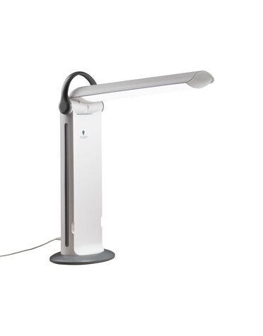 Daylight Lampe Daylight twist 2 LED