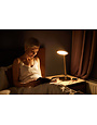 Daylight Daylight TriSun 2-in-1 SAD Therapy Task Lamp