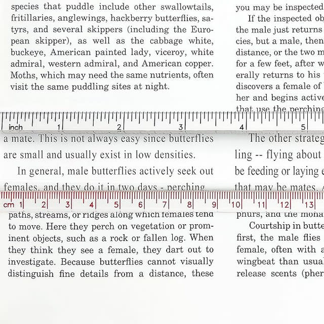 Carson Optical 8 inch Bar Ruler 1.5X Magnifier with Inch and Centimeter Markings