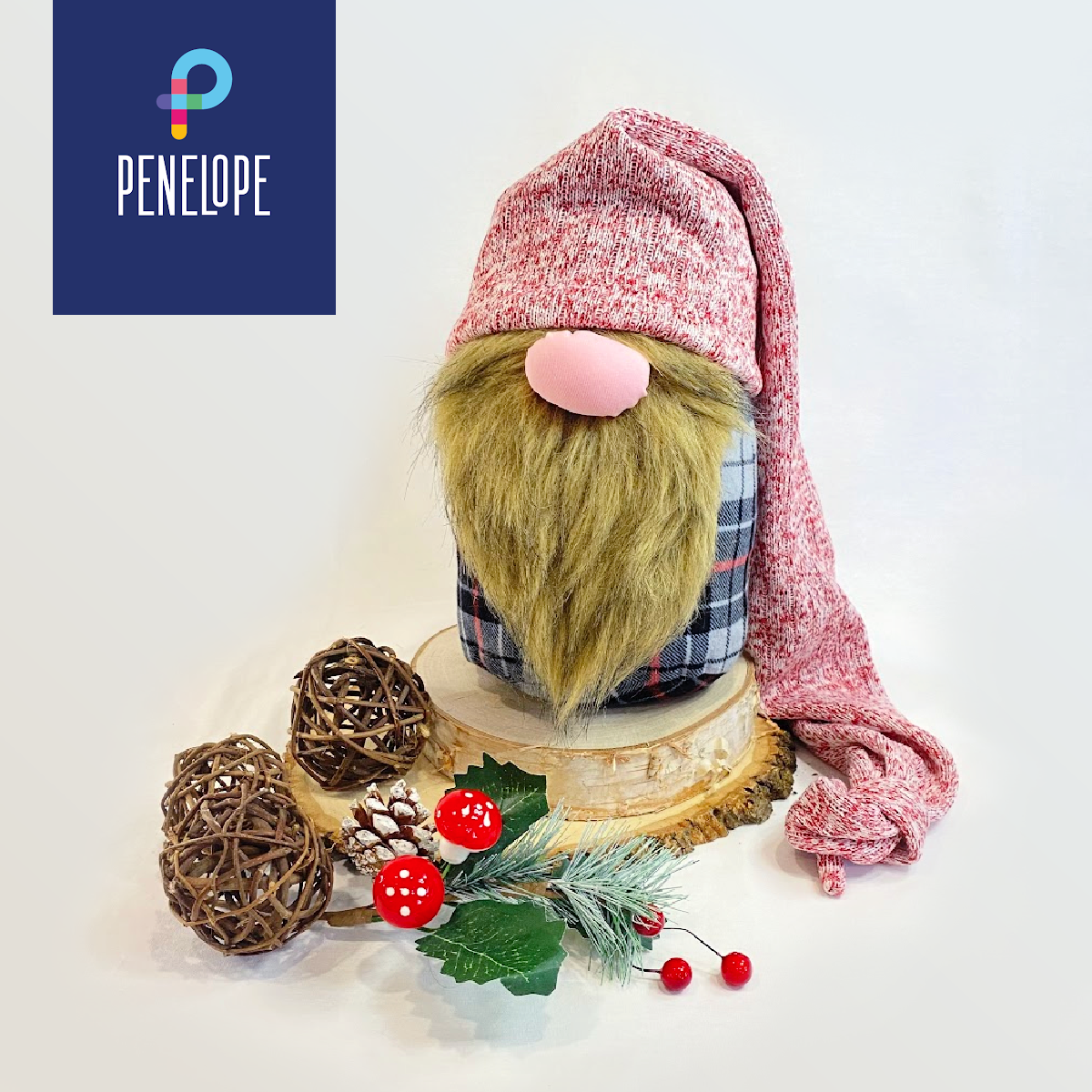 Chirstmas Gnome project