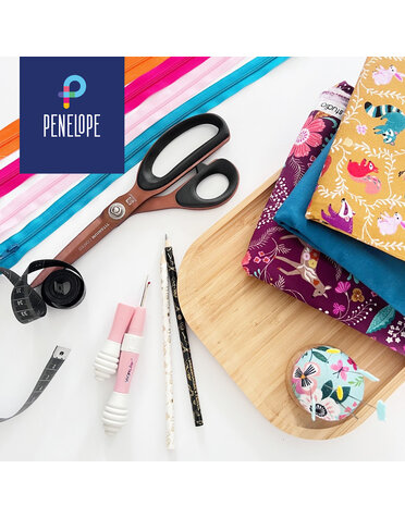 Pénélope Basic Sewing Techniques