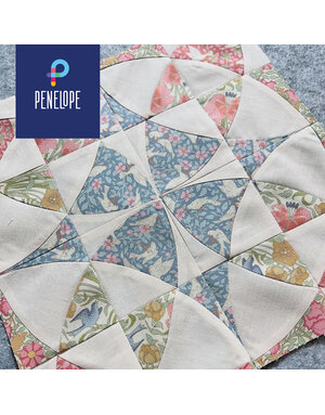 Pénélope Technique - Les courbes