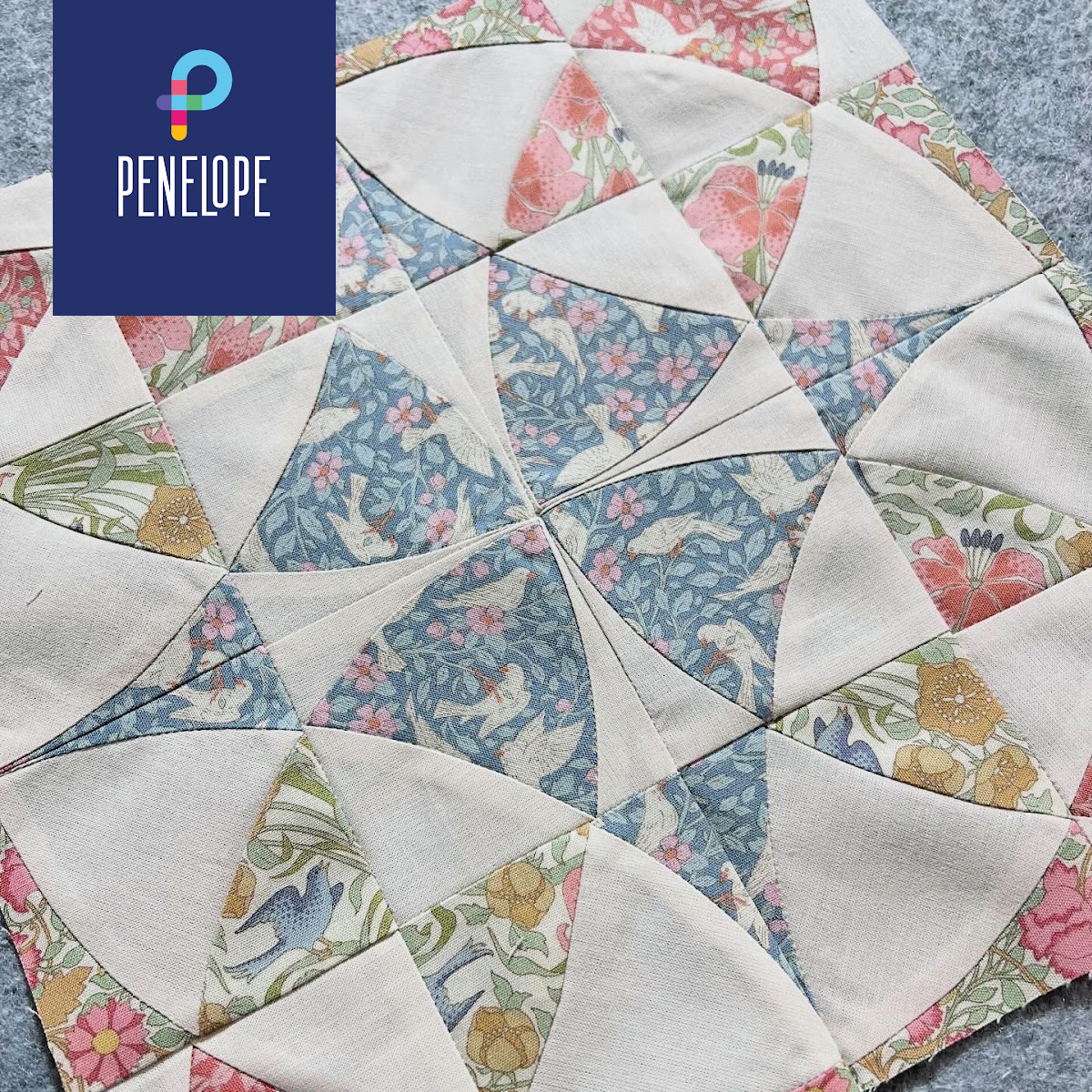 Pénélope Technique - Les courbes