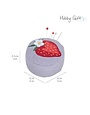 HOBBY GIFT Coussin à épingle fraise