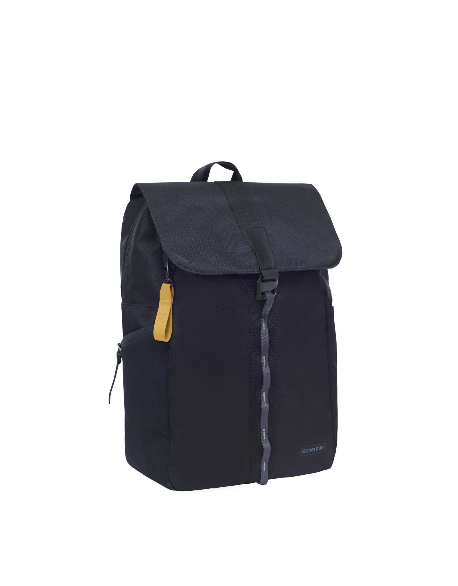 raven backpack