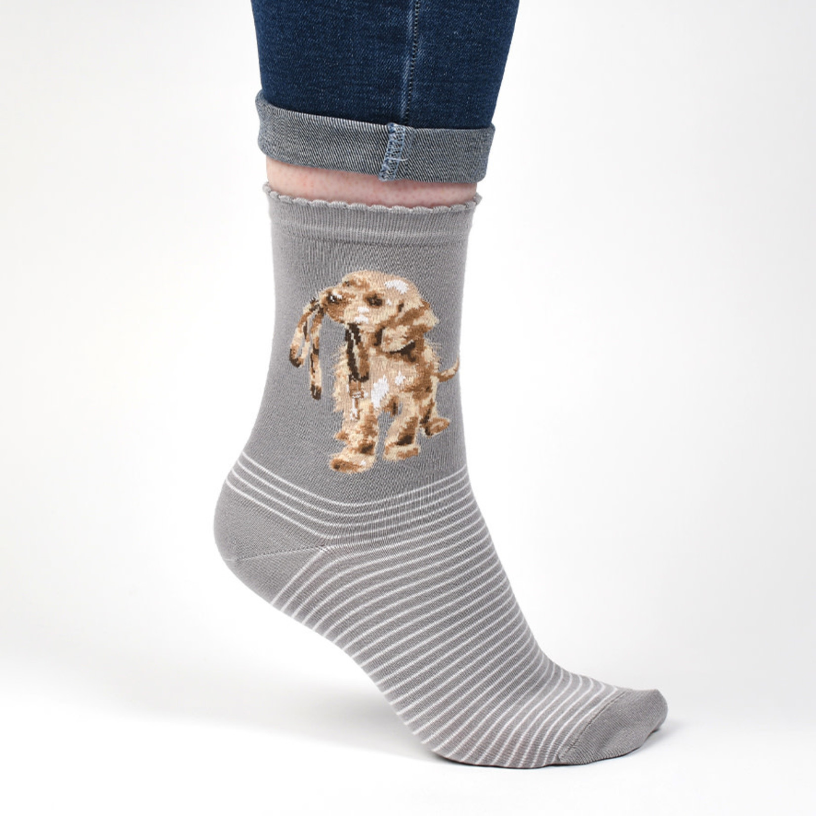 Wrendale Designs SOCK010 Socks - 'Hopeful' Labrador