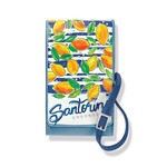 Brighton E5505M Fashionista Santorini Phone Organizer