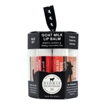 Dionis Lip Balm Gift Set - 6 Pack Assorted