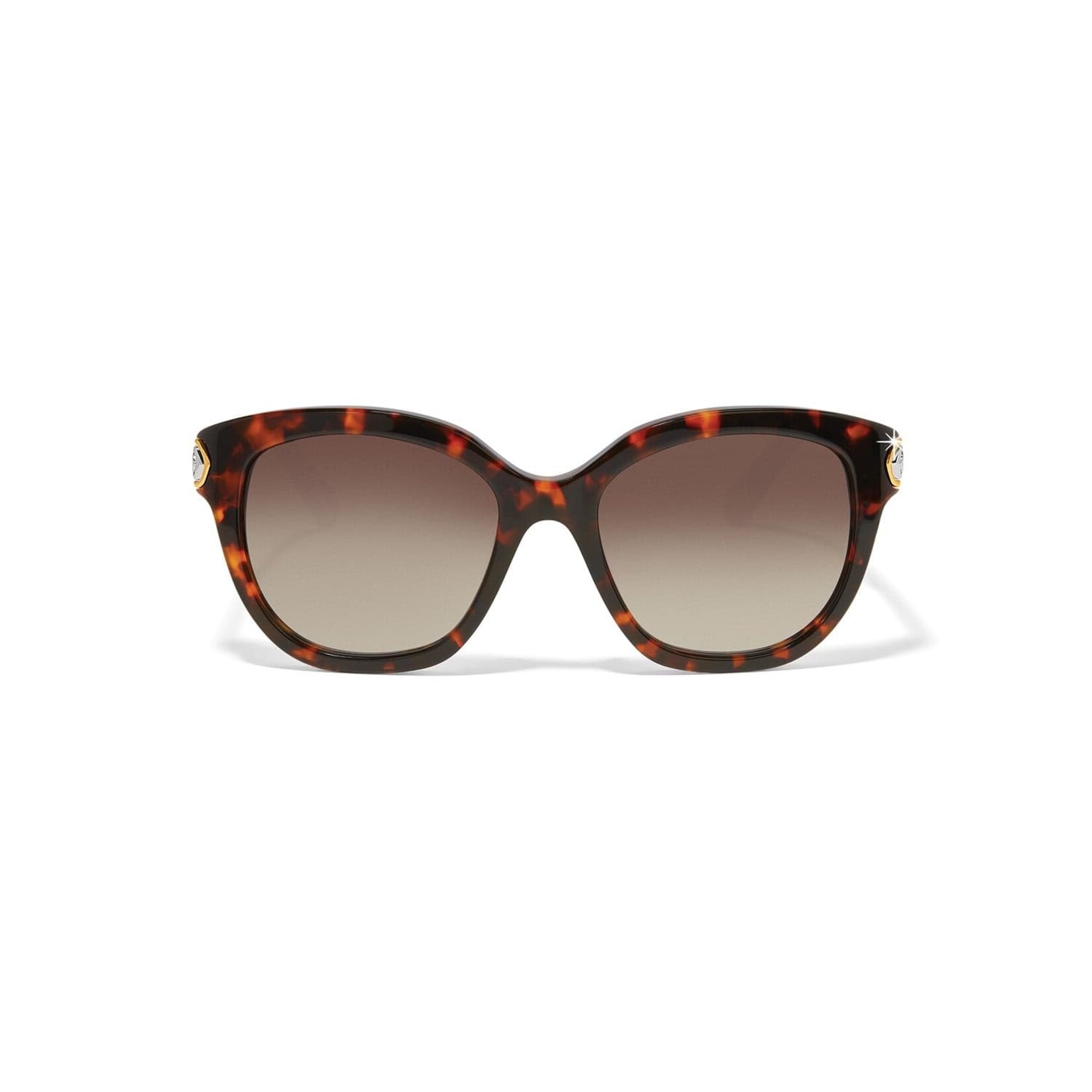 Brighton A13367 Intrigue Tortoise Sunglasses