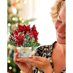 FreshCut Paper Christmas Mini Pop Up Card - Mini Birch Poinsettia