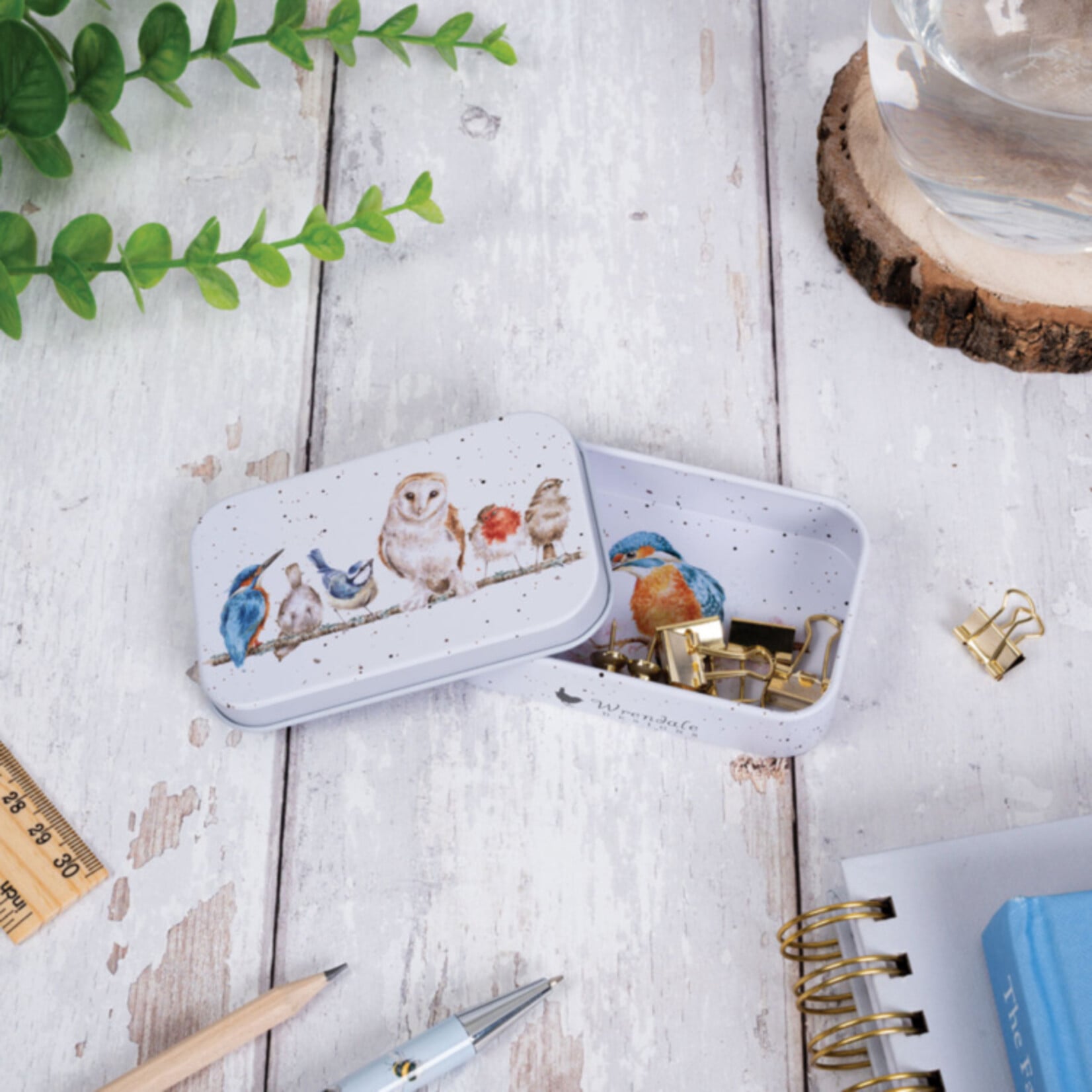 Wrendale Designs MT022 Bird Mini Tin - Variety of Life