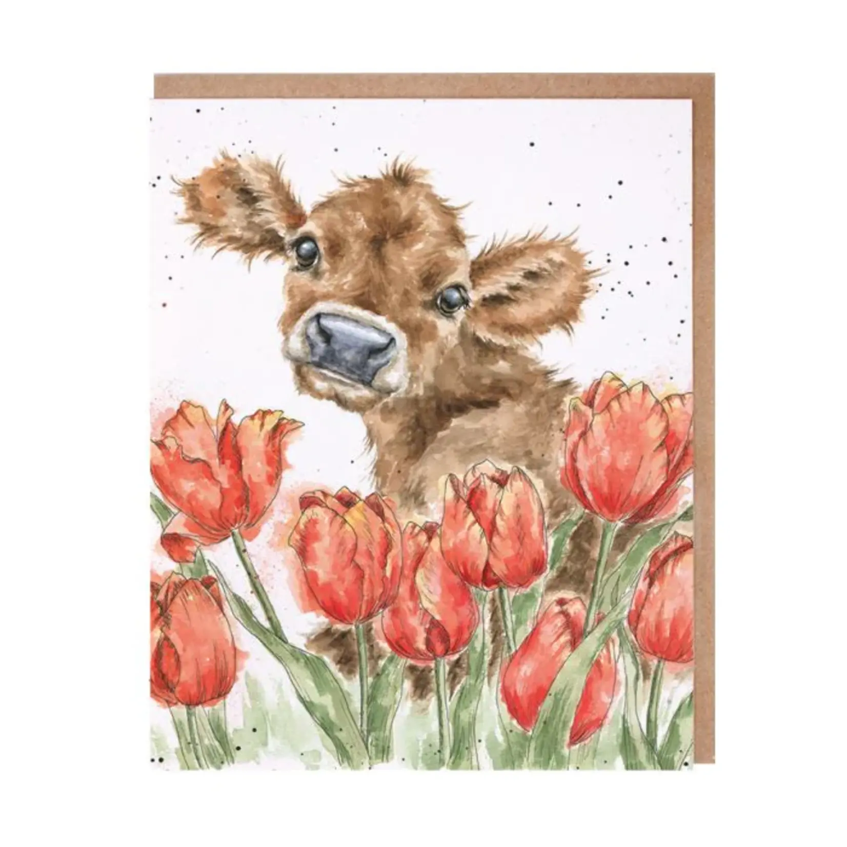 Wrendale Designs ANCP001 Bessie Notecard Set