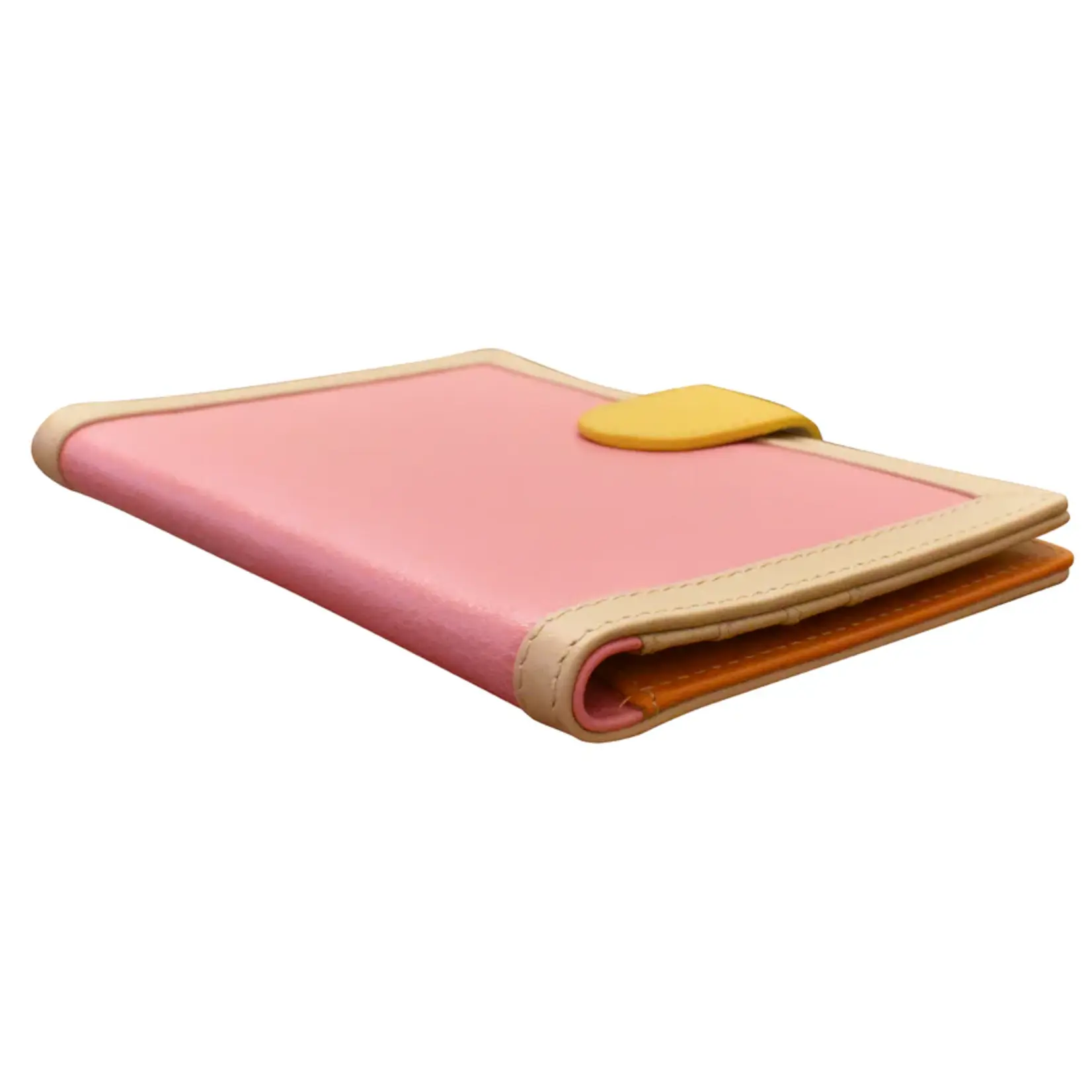 Leather Handbags and Accessories 6755 Pink Rainbow - Passport Wallet