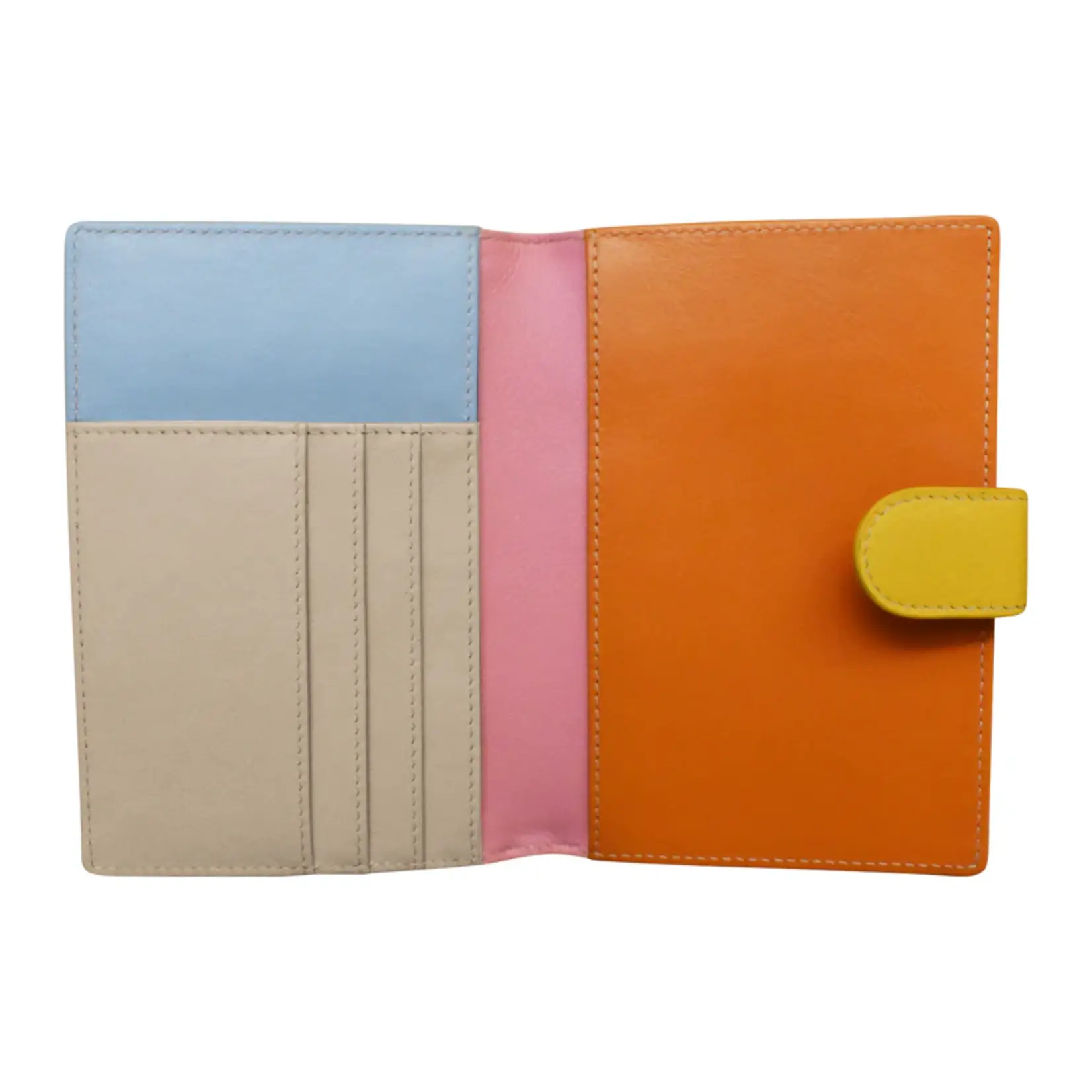 Leather Handbags and Accessories 6755 Pink Rainbow - Passport Wallet